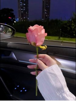 Cự Tuyệt Thâm Tình