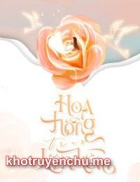 Hoa Hồng Trao Kền Kền