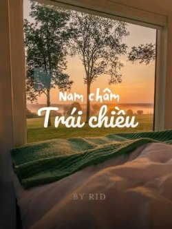 Nam Châm Trái Chiều