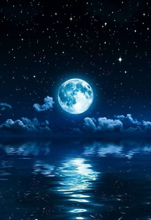 Xuyên Nhanh: Nam Thần Bệnh Kiều Tập Kết Lệnh