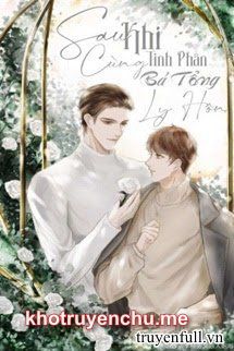 Sau Khi Cùng Tinh Phân Bá Tổng Ly Hôn