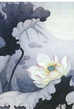 Thịnh Thế Hắc Liên Hoa