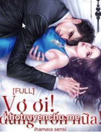 Vợ ơi! Đừng Trốn Nữa - Lý Tú Vy (truyện full)