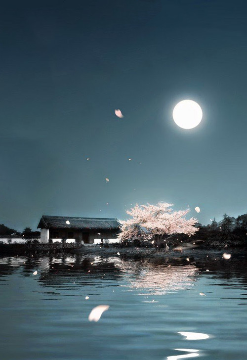 Xuyên Thành Chị Dâu Của Nữ Chính Trong Truyện Ngược